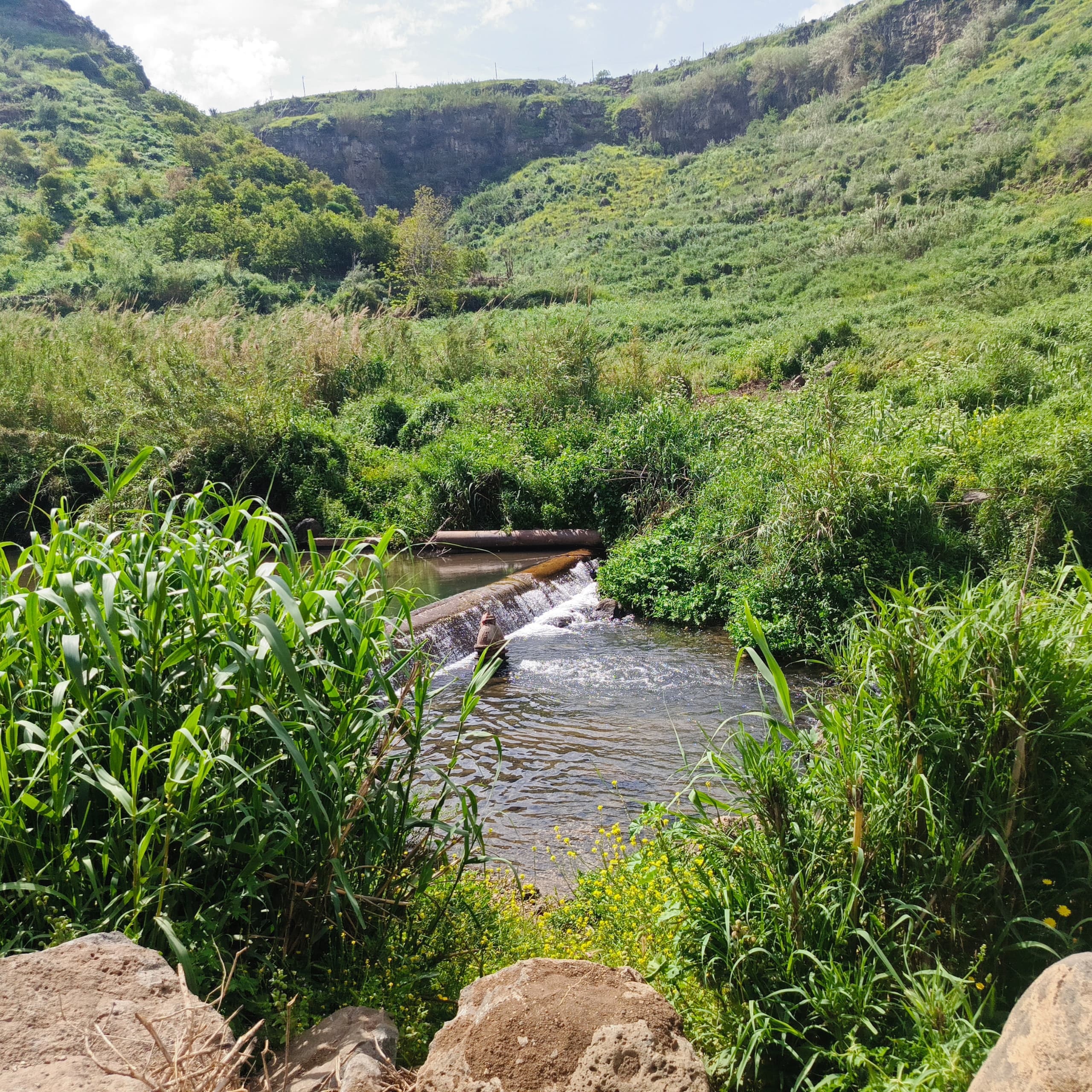 نفذت شعبة مراقبة المياه-دائرة الادارة المتكاملة في مديرية الموارد المائية بدرعا جولة ميدانية بهدف تقييم جودة المياه 
